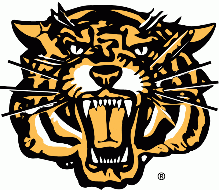 hamilton tiger-cats 1999-2004 secondary logo t shirt iron on transfers...